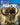 PlayStation 4-Far Cry: Primal - Special Edition Tweedehands