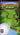 PSP-Everybody's Golf Tweedehands