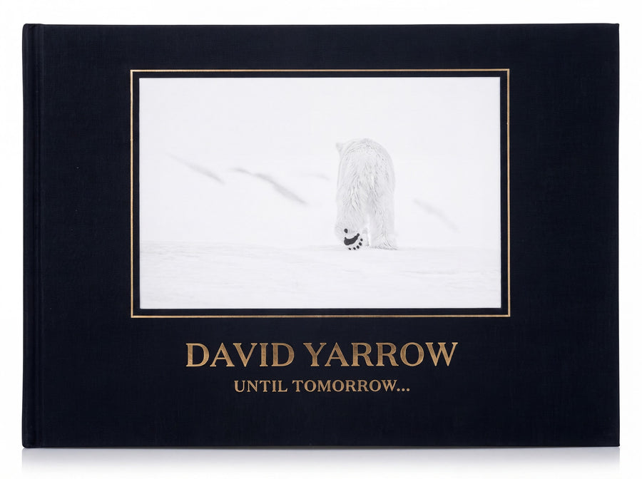 David Yarrow Until Tomorrow - voorkant