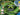 Ravensburger-ScienceX® Geheime Codes - De Experimenteerdozen Tweedehands
