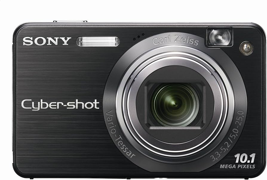 Sony-DSC-W170 Digitale Compact Camera - Zilver (Nieuw)