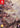 Switch-Brigandine: The Legend Of Runersia [Collector's Edition] Tweedehands