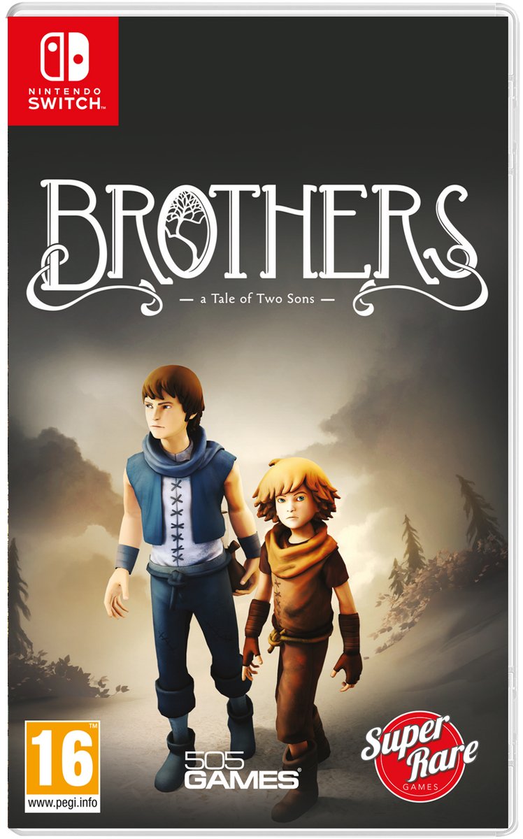 Switch-Brothers A Tale of Two Sons Tweedehands