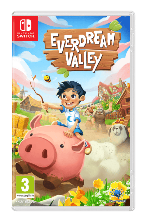 Nintendo Switch Everdream Valley, doos voorkant, tweedehands