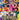 Switch-Everybody 1-2 Switch Tweedehands