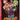 Switch-Evoland 1 & 2 10th Anniversary Edition Tweedehands