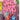 Switch-Gang Beasts (Geseald)