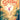 Switch-Gibbon: Beyond The Trees Tweedehands