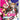 Switch-I*CHU: Chibi Edition Tweedehands