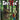 Switch-Spirittea Tweedehands