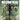 Switch-The Walking Dead: Desitinies Tweedehands