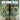 Switch-The Walking Dead: Destinies Tweedehands