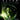 Xbox 360-Alien: Isolation Tweedehands