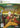 Xbox 360-Avatar: The Legend of Aang - The Burning Earth Tweedehands