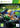 Xbox 360-Ben 10: Galactic Racing Tweedehands