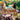 Xbox 360-Cabela's Big Game Hunter 2012 Tweedehands