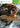 Xbox 360-Cabela's Dangerous Hunts 2013 Tweedehands
