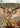 Xbox 360-Cabela's Trophy Bucks Tweedehands