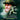 Xbox 360-Don Bradman Cricket 14 Tweedehands