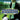 Xbox 360-Football Manager 2007 Tweedehands