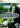 Xbox 360-Football Manager 2007 Tweedehands