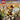 Xbox 360-LEGO Indiana Jones 2: The Adventure Continues Tweedehands