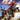 Xbox Classic-ATV Quad Power Racing 2 Tweedehands