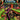 Xbox Classic-Charlie and the Chocolate Factory Tweedehands