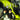 Xbox Classic-Curse: The Eye of Isis Tweedehands