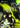 Xbox Classic-Curse: The Eye of Isis Tweedehands