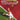 Xbox Classic-FILA World Tour Tennis Tweedehands