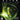 Xbox One-Alien: Isolation Nostromo Edition Tweedehands