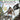 Xbox One-Assassin's Creed IV: Black Flag Tweedehands