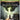 Xbox One-Dragon Age: Inquisition - Game of the Year Edition Tweedehands