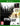 Xbox One-Dying Light Tweedehands