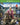 Xbox One-Far Cry 4: Complete Edition Tweedehands