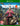 Xbox One-Far Cry 4: Limited Edition Tweedehands