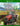 Xbox One-Farming Simulator 17 Tweedehands