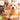 3DS-Nintendogs + Cats: Golden Retriever & New Friends Tweedehands