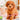 3DS-Nintendogs + Cats: Toy Poodle & New Friends Tweedehands