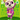 Amiibo-Pinky #319 - Series 4 Tweedehands
