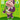 Amiibo-Violet #282 - Series 3 Tweedehands