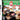 DS-Jigapix: Wild World Tweedehands