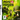 DS-Mini Ninjas Tweedehands