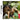 DS-My Horse & Me Tweedehands