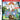 DS-Safari Quest Tweedehands