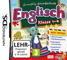 DS-Successfully Learning English Tweedehands