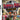 DS-Sudoku Ball - Detective Tweedehands
