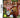 DS-Yogi Bear: The Video Game Tweedehands