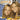 Gamecube-Mary-Kate and Ashley: Sweet 16: Licensed to Drive Tweedehands